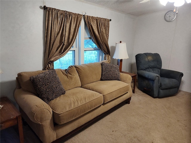 carpeted living room featuring a textured ceiling