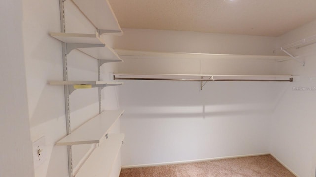 spacious closet with carpet flooring