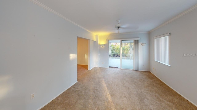 spare room featuring light colored carpet and ornamental molding