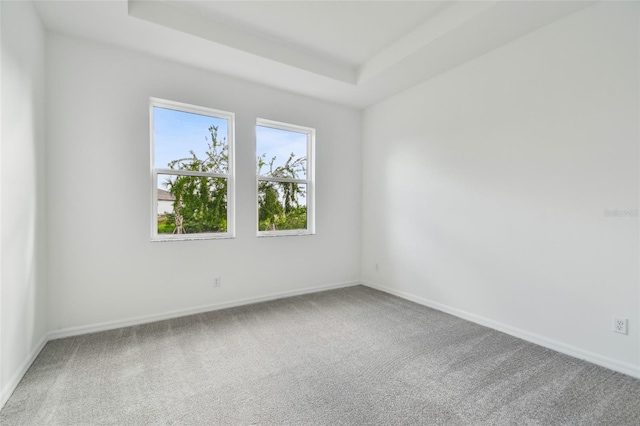 unfurnished room with a tray ceiling and carpet floors