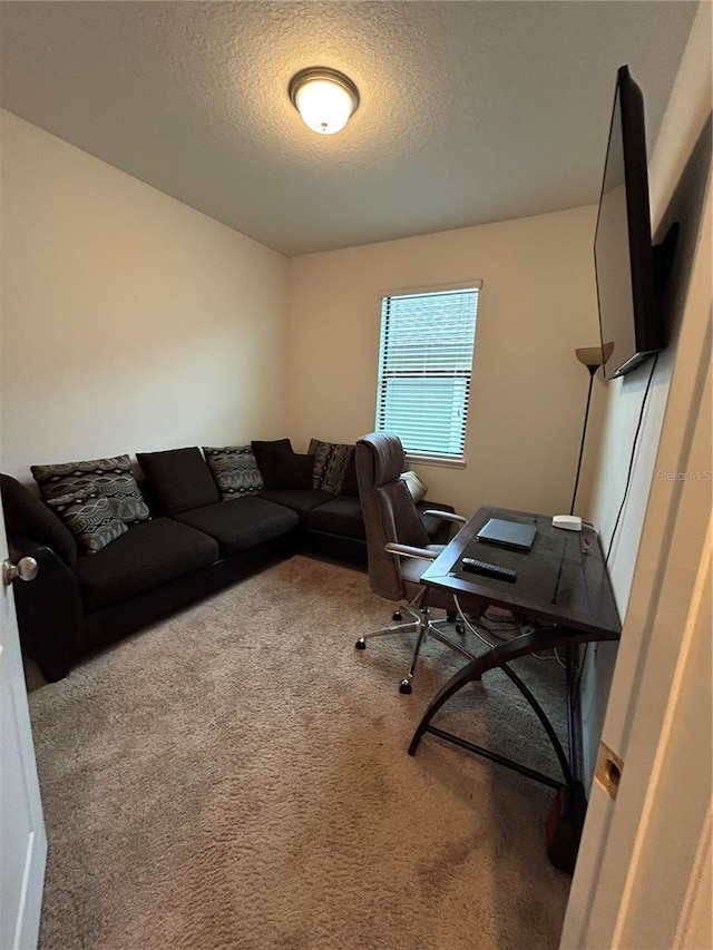 carpeted home office with a textured ceiling