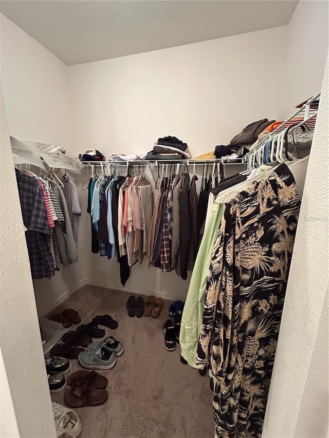 walk in closet featuring carpet flooring