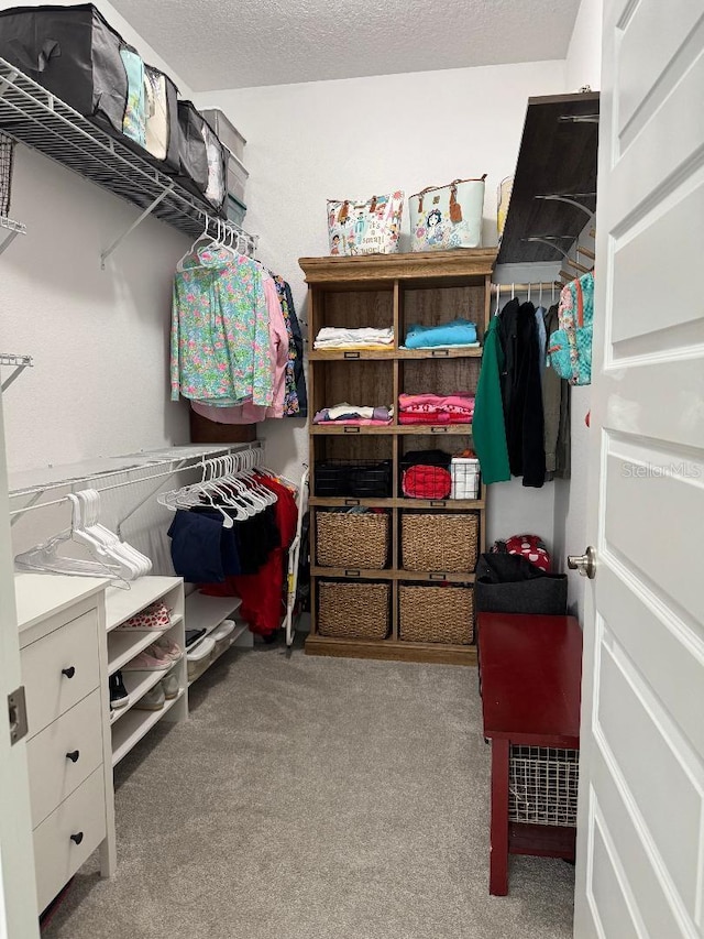 spacious closet featuring light colored carpet