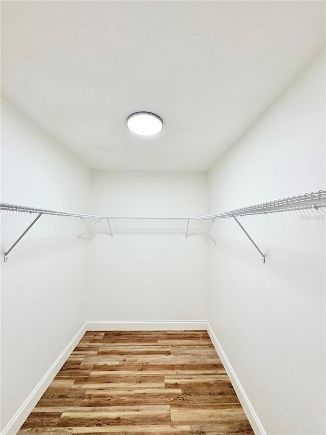 walk in closet with hardwood / wood-style flooring