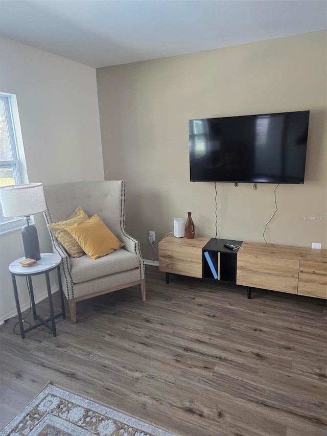 living room featuring dark wood-type flooring