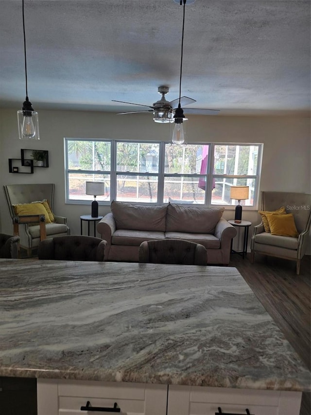 living room with ceiling fan, a textured ceiling, wood-type flooring, and a healthy amount of sunlight