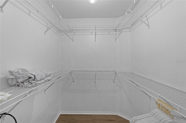 spacious closet featuring wood finished floors