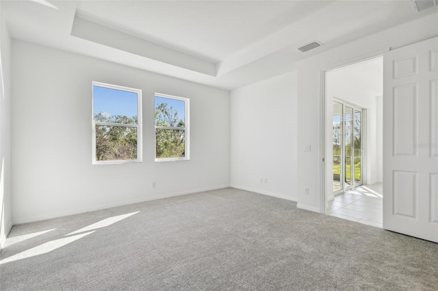 empty room featuring a tray ceiling, a wealth of natural light, and light colored carpet