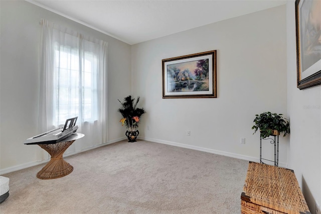 sitting room featuring carpet and baseboards