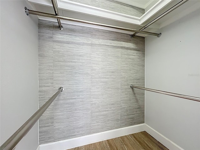 walk in closet featuring wood finished floors