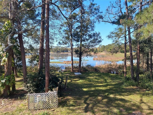 view of yard featuring a water view