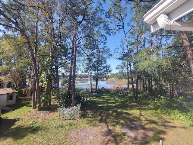 view of yard with a water view