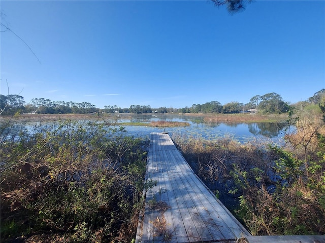 view of dock with a water view