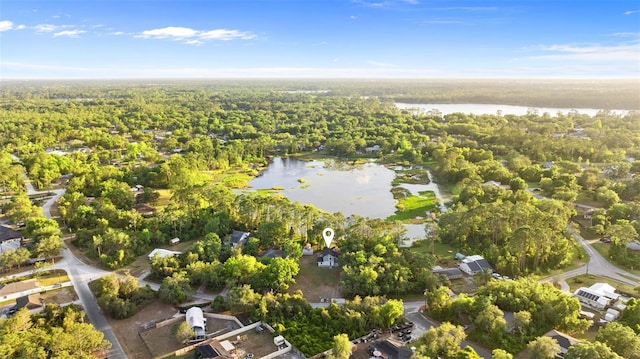bird's eye view with a water view and a view of trees
