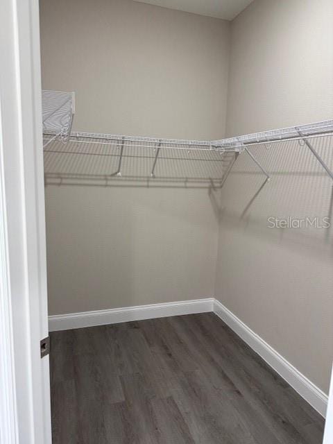 walk in closet with dark wood finished floors