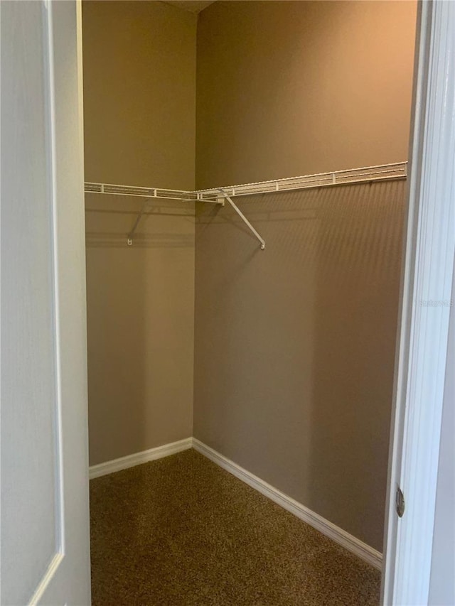 walk in closet with carpet flooring