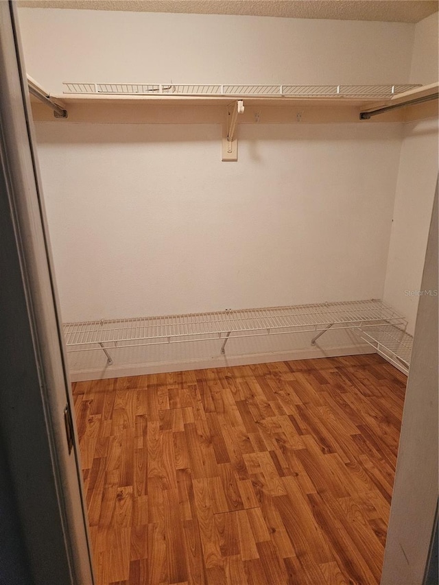 8744 54th Ave W Unit 8744, Bradenton, FL 34210 - walk in closet with light wood finished floors