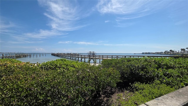 exterior space featuring a pier