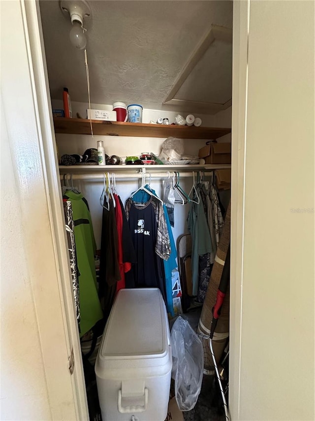 view of closet