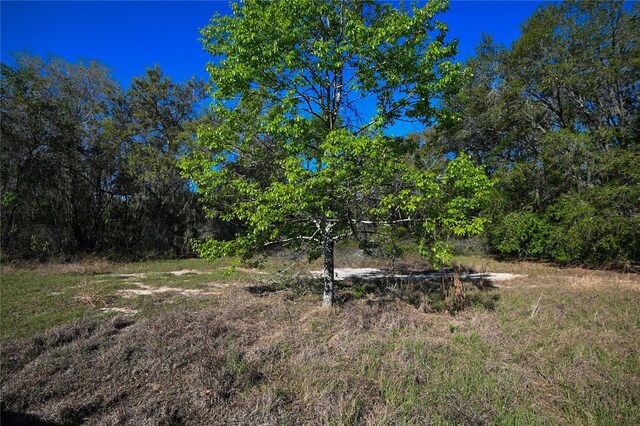 Pablo Island Rd, Groveland, FL 34736 - photo 2