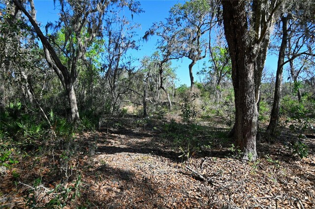 Pablo Island Rd, Groveland, FL 34736 - photo 5