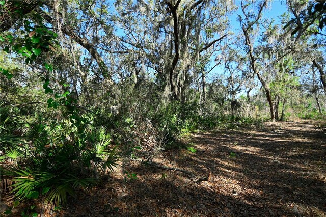 Pablo Island Rd, Groveland, FL 34736 - photo 6