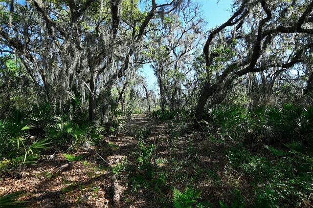 Pablo Island Rd, Groveland, FL 34736 - photo 7