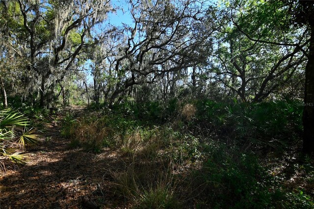 Pablo Island Rd, Groveland, FL 34736 - photo 8