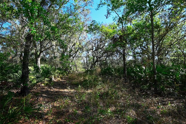 Pablo Island Rd, Groveland, FL 34736 - photo 9