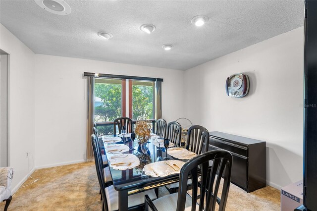 34 Misty Meadow Ln, Mulberry, FL 33860 - dining area featuring light colored carpet, baseboards, and a textured ceiling