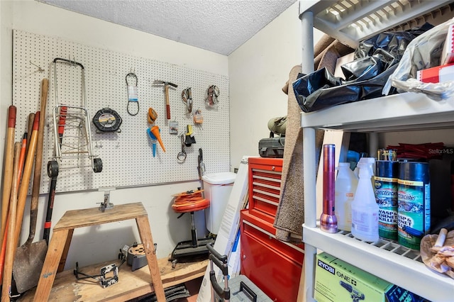 34 Misty Meadow Ln, Mulberry, FL 33860 - view of storage room