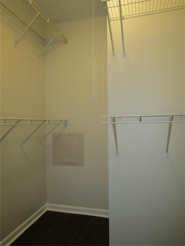 3102 W Horatio St Unit 12, Tampa, FL 33609 - walk in closet featuring dark wood-type flooring