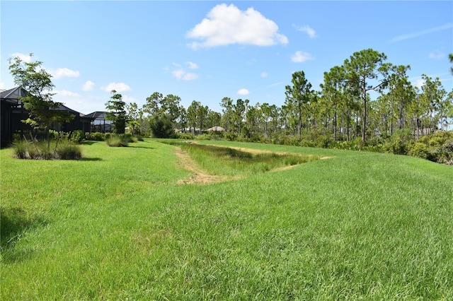 2735 Lavandula Ct, North Port, FL 34289 - view of yard