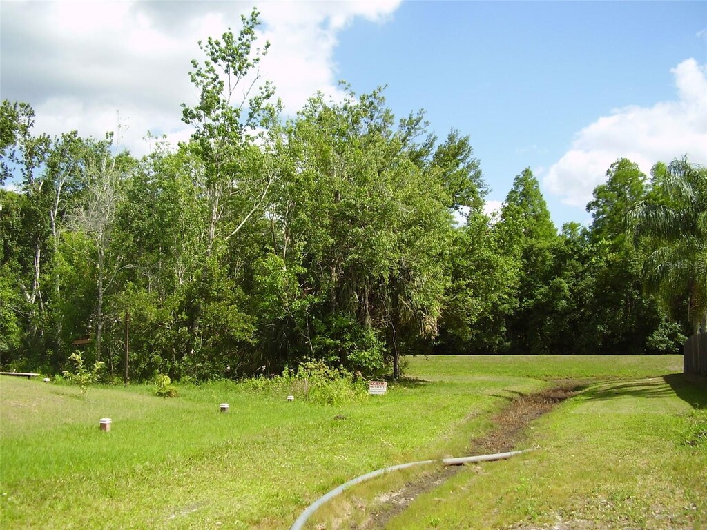 1425 Teal Dr, Kissimmee, FL 34759 - photo 2