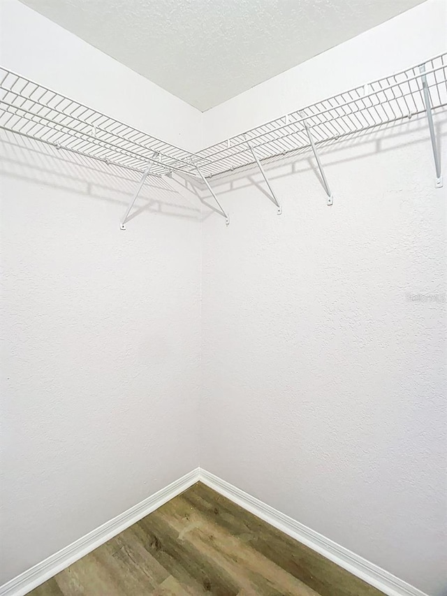 walk in closet featuring dark wood-style flooring