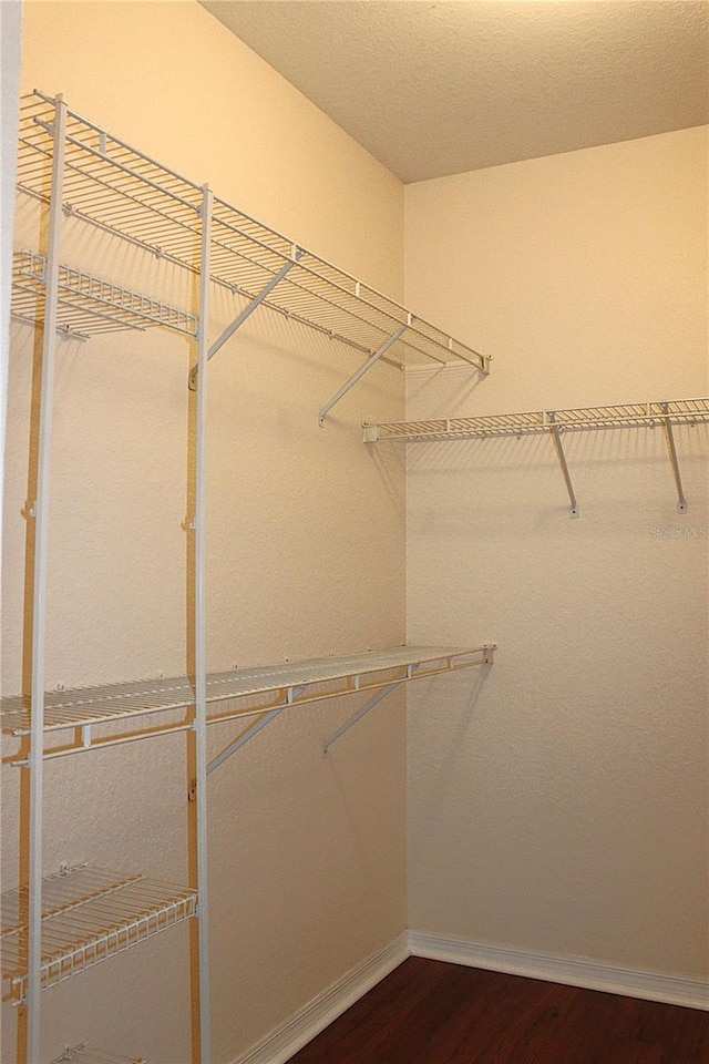 5613 Legacy Crescent Pl Unit 201, Riverview, FL 33578 - photo 7