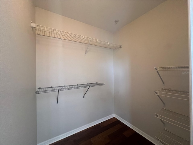 7320 Westpointe Blvd Unit 531, Orlando, FL 32835 - spacious closet with dark wood-type flooring