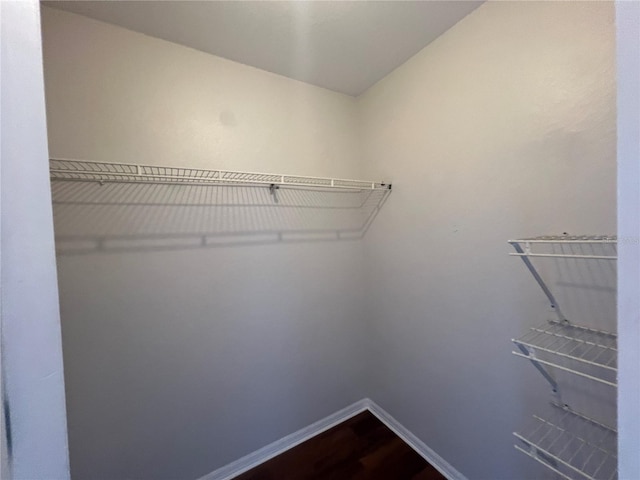 7320 Westpointe Blvd Unit 531, Orlando, FL 32835 - walk in closet with dark wood-style flooring