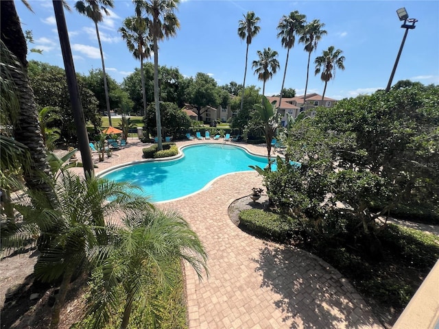 7320 Westpointe Blvd Unit 531, Orlando, FL 32835 - community pool with a patio area