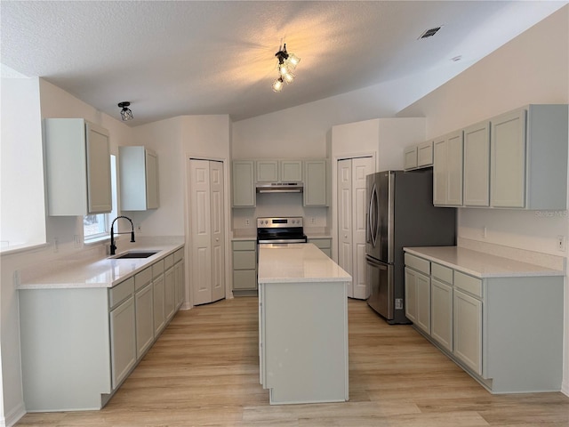 901 Cascades Park Trl, Deland, FL 32720 - kitchen featuring a sink, stainless steel appliances, under cabinet range hood, lofted ceiling, and gray cabinetry