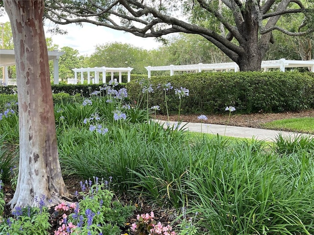 1305 Guerra Ave, The Villages, FL 32159 - view of yard