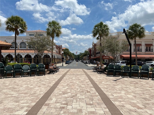 1305 Guerra Ave, The Villages, FL 32159 - view of community