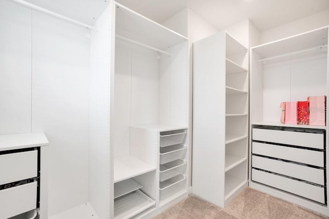 walk in closet featuring carpet flooring