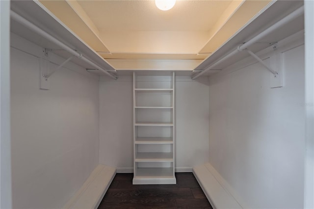 4514 Crichton Ln, Orlando, FL 32806 - walk in closet featuring dark wood finished floors