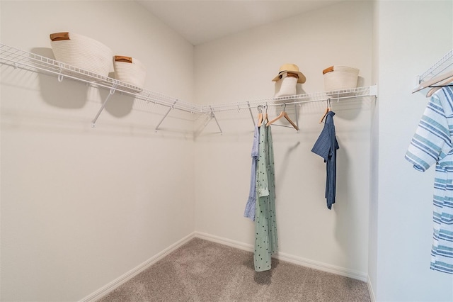 2046 Sunset Preserve Way, Port Charlotte, FL 33953 - walk in closet featuring light colored carpet