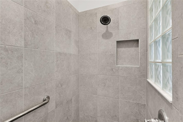 924 Figwood Loop, The Villages, FL 32163 - bathroom view of a tile shower