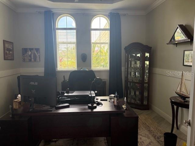 16617 5th Ave E, Bradenton, FL 34212 - office featuring crown molding, plenty of natural light, wood finished floors, and a tray ceiling