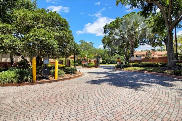 7863 Sugar Bend Dr Unit 7863, Orlando, FL 32819 - view of decorative street with curbs and a gated entry