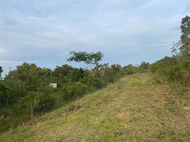 45811 Mcleod Rd, Myakka City, FL 34251 - photo 3