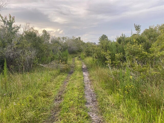 45811 Mcleod Rd, Myakka City, FL 34251 - photo 4